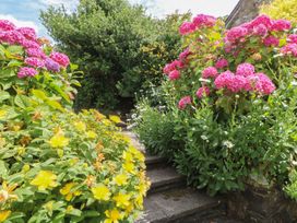 A garden with flowers and stone steps at St John's House Newport, Pembrokeshire