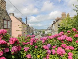 A street scene with flowers and houses at St John's House Newport, Pembrokeshire