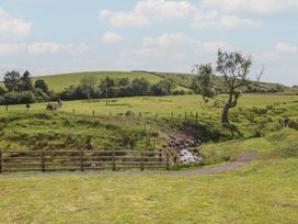 A landscape featuring a stream and trees at Black Moss in Nelson