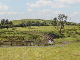 A landscape with a stream and trees at Ogden in Nelson