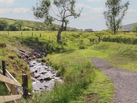 A stream with a tree and path at Ogden in Nelson
