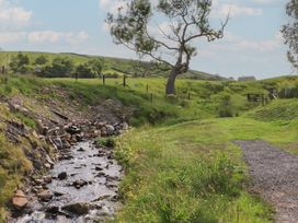A stream flowing through grass and trees at Pendle in Nelson