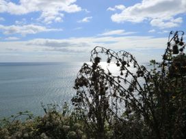 A view of the ocean with vegetation in the foreground at Kenny Cottage in Dawlish