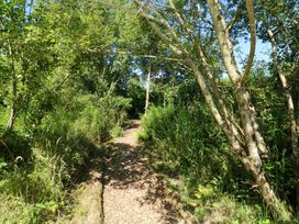 A pathway surrounded by trees and bushes in a natural setting at Carreg Las Haverfordwest