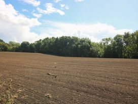 A field with trees in the background at Dingle in Cleobury Mortimer