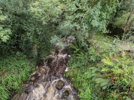 A stream flowing through rocks and greenery at The Cottage in Ballinagleira