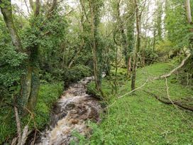 A stream flowing through a forested area at The Cottage in Ballinagleira