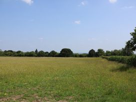 A field with grass and trees under a blue sky at Honeypot Hideaways - Clover