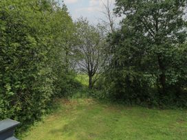 A clearing among trees with grass at Lodge 13 Brigg