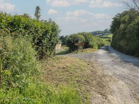 A road with bushes and a sign near open fields at Squirrel's Drey, Chapel Lawn near Clun