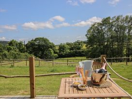 Owl's Hollow - Shropshire - 1177886 - thumbnail photo 17