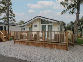 Labernum -  - 1178047 - thumbnail photo 1