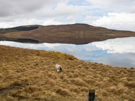 Carrowreagh - County Sligo - 1178091 - thumbnail photo 22