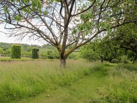 A garden with trees and a grassy path at Uplands House in Ledbury