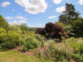 A garden with various plants and trees at Uplands House in Ledbury