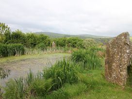 A view of a pond with reeds and stones at The Dovecote in Fishguard