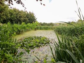 A pond with lily pads and surrounding greenery at The Dovecote in Llanychaer near Fishguard