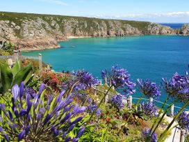 A coastal view with flowers and water at Tater-Du in Porthcurno near Land’s End