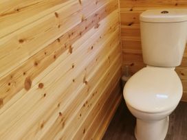 A toilet next to a wooden wall at Lodge 1 Pontyates