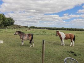 Two horses in a field under a cloudy sky at Wolds Hoot in Market Weighton