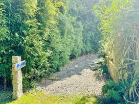 A path bordered by bamboo and ferns at Harvey's Lodge, Lowertown, Helston