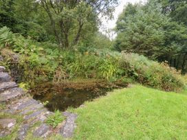 A pond surrounded by plants and stone steps at Ty Newydd in Llanrhychwyn near Llanrwst