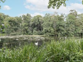 A pond with trees and swans at Owl Barn in Banbury