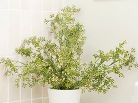 An artificial plant in a white pot at Apartment 2, 86 Dyer Street Cirencester