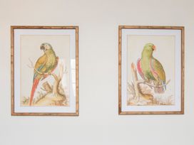 Two framed parrot illustrations on a wall
