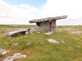 A dolmen surrounded by grass and wildflowers at Ash House in Ballyvaughan