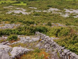 A rocky landscape with vegetation at Ash House in Ballyvaughan