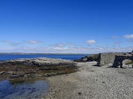 Penrhos Walks - Anglesey - 1179287 - thumbnail photo 43