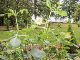 Flowers and plants in a garden at Charltons Hollow Cabin Haywards Heath