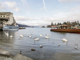 A view of swans and boats on water at Aspen Boutique in Windermere