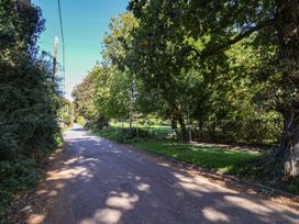 A road with trees along the sides near Oakwood in Chideock