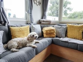 A living room with a dog on a sofa at 31 Castle View in Lincoln