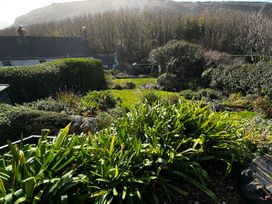 A garden with various plants and flowers at 1 Rowes Cottages, Porthgwarra