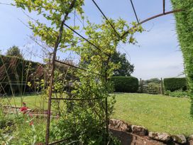 A garden with a trellis and grass at 13 School Road Newton Abbot