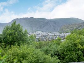 A view of houses and trees with mountains in the background at Brondderwen 