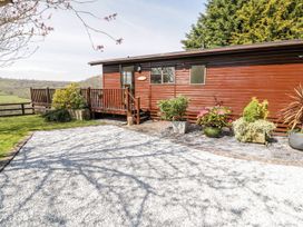 A lodge with decking and planters at Summertime Lodge near Rhyd-y-Foel