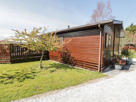 An outdoor image showing a wooden structure and a tree at Alpine Lodge in Rhyd-y-Foel near Abergele