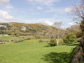 A view of a mountain and green fields at Alpine Lodge in Rhyd-y-Foel near Abergele