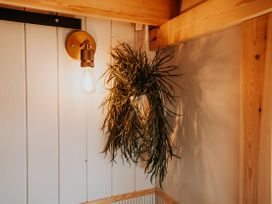 A light fixture and plant on the wall at Driftwood, Carreglefn near Llanfechell
