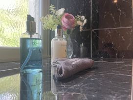 A bathroom with shampoo and conditioner bottles on a countertop at DeCressy Apartment in Par