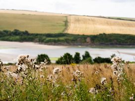 A field with plants and water in the background at The Porthole in Newton Ferrers