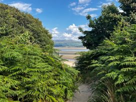 A pathway through ferns leading to a beach at Hafod Y Graig Morfa Bychan