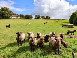 A field with sheep grazing and a house in the background at The Cottage Middle Westwater Westwater Nr Axminster