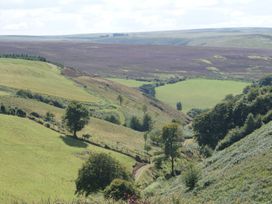 A landscape with rolling hills and fields at Woodedge Minehead