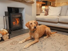 A living room with a dog in front of a fireplace at Woodedge in Porlock