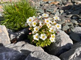 No.51 Llanteg Park - South Wales - 1180253 - thumbnail photo 15
